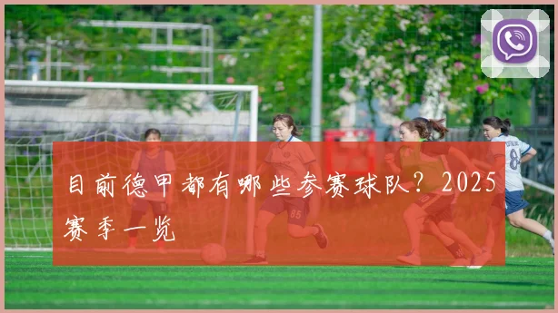 目前德甲都有哪些参赛球队?2025赛季一览