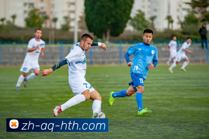 华体会登录入口平台生态图